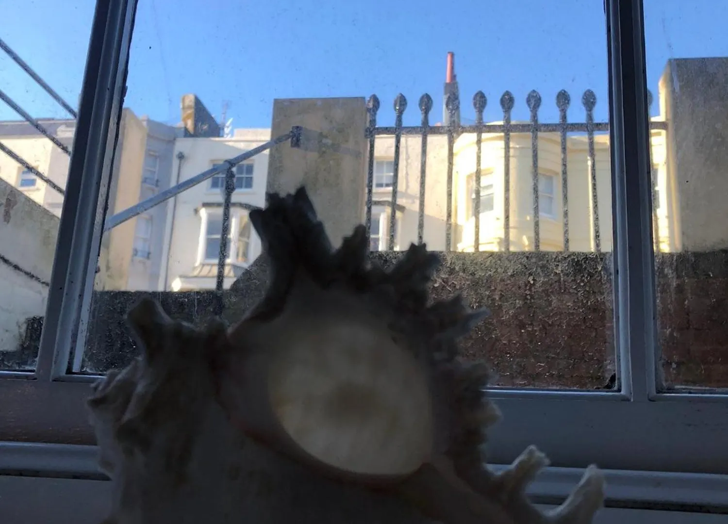 Апартаменты Seaside Flat With Sunny Garden. Брайтонн